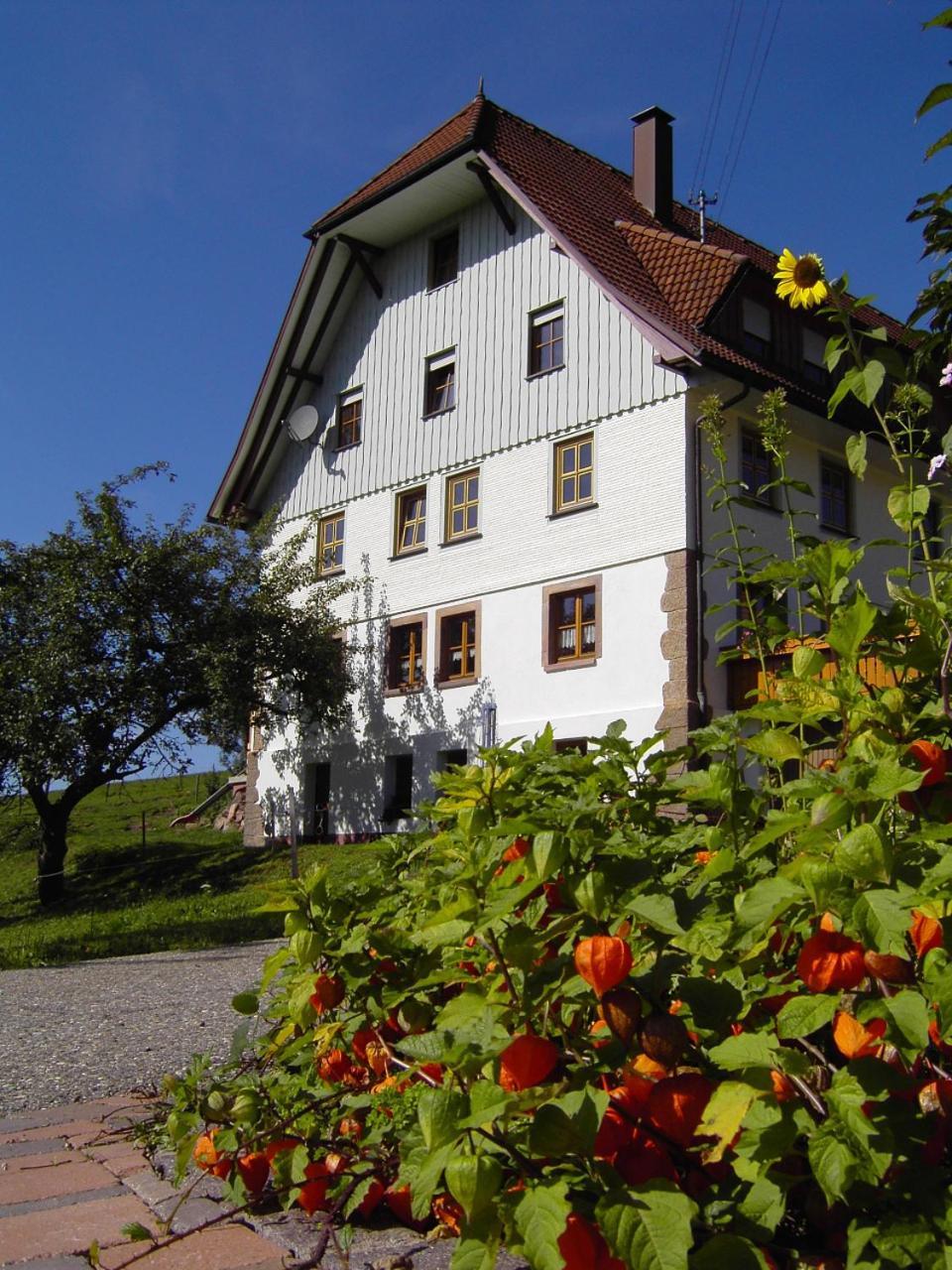 Fehrenbacherhof Naturgaestehaus Lauterbach  Bagian luar foto