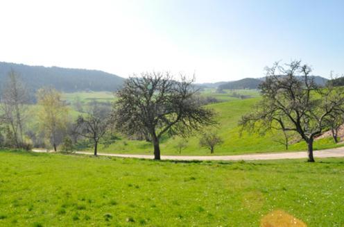 Fehrenbacherhof Naturgaestehaus Lauterbach  Bagian luar foto